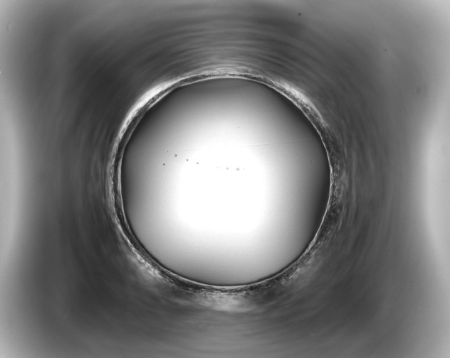 X0000085731086200703161000