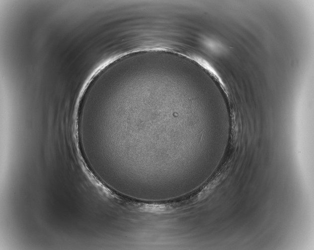 X0000085731088200703161000