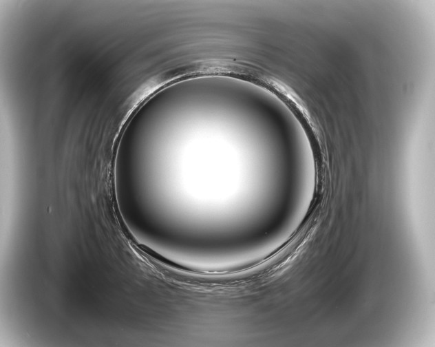 X0000085731089200703161000