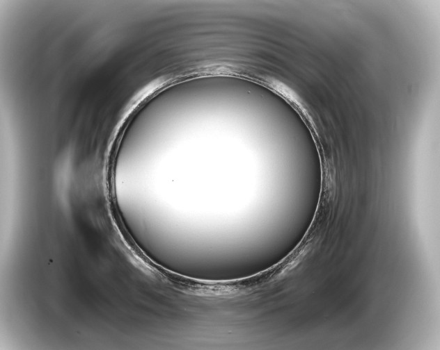 X0000085731090200703161000