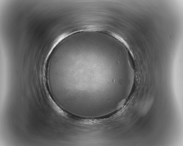 X0000085731091200703161000