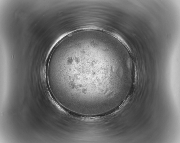 X0000085731092200703161000