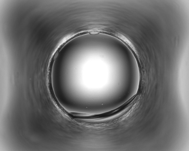 X0000085731093200703160959