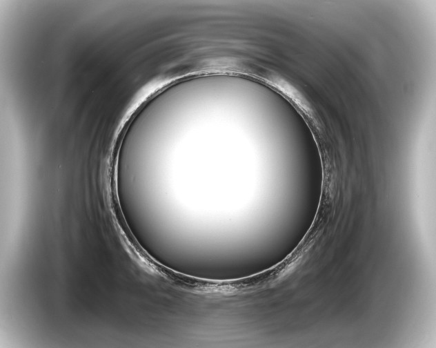 X0000085731094200703160959