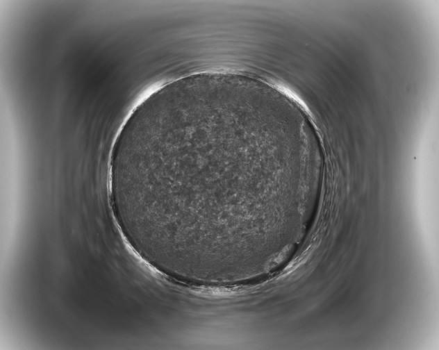 X0000085731095200703160959