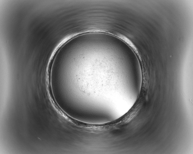 X0000085731096200703160959