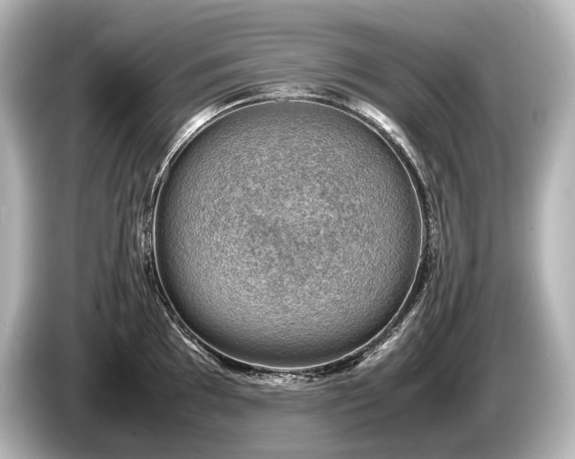 X0000085731097200703160959