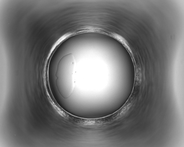 X0000085731098200703160959