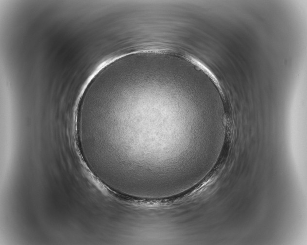 X0000085731099200703160959