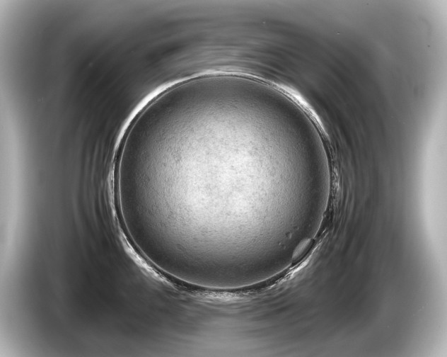 X0000085731100200703160959