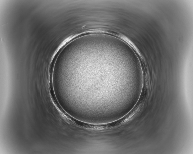 X0000085731101200703160959