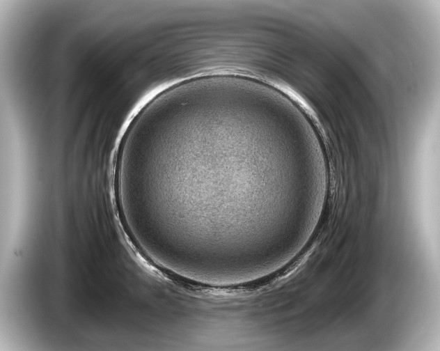 X0000085731102200703160959