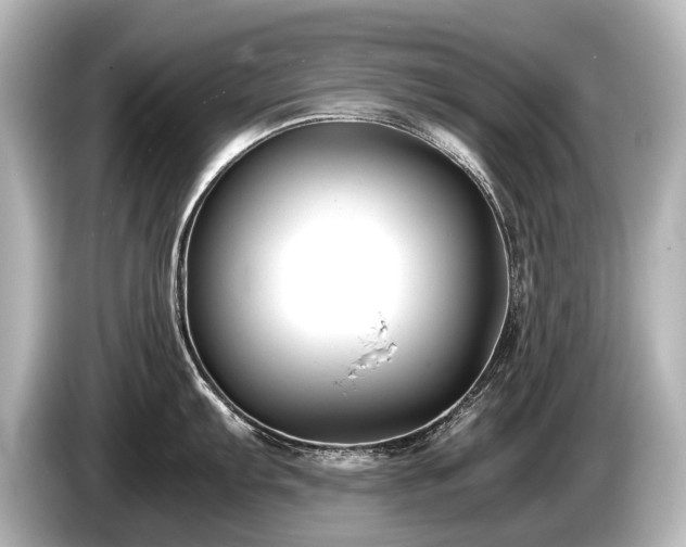 X0000085731103200703160959