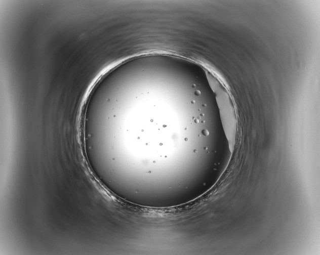 X0000085731104200703160959