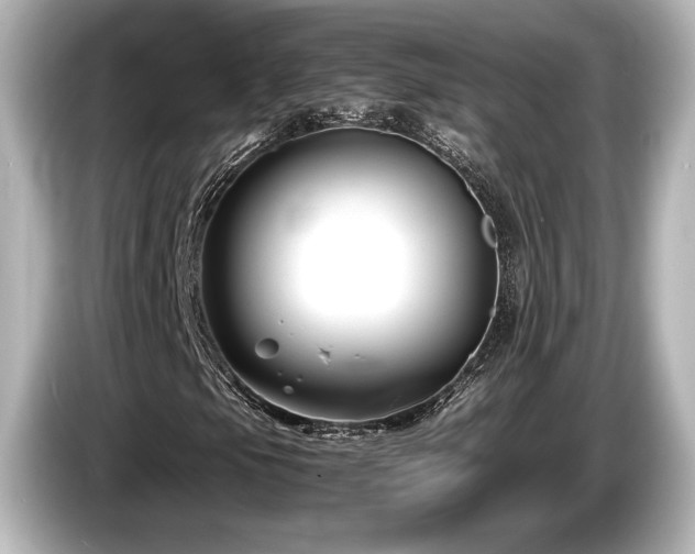 X0000085731105200703160959