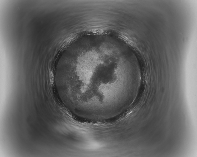 X0000085731106200703160959