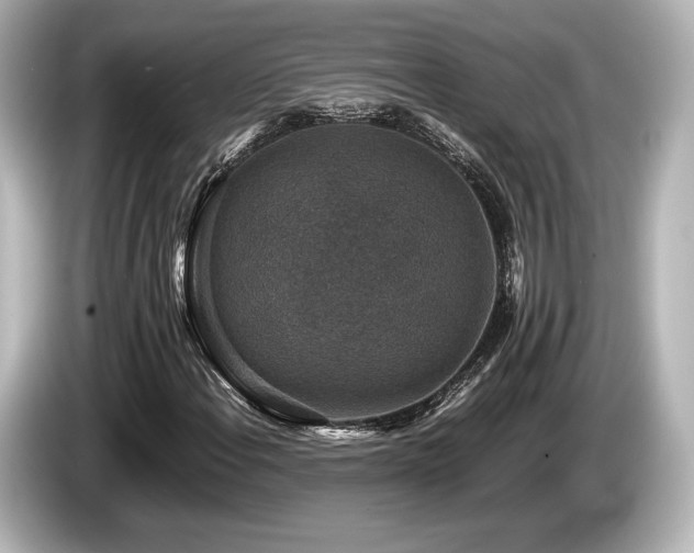 X0000085731108200703160959