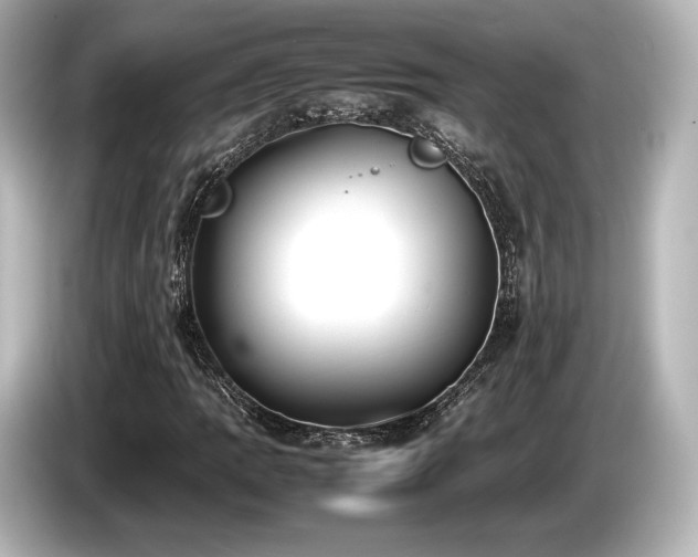 X0000085731109200703160959