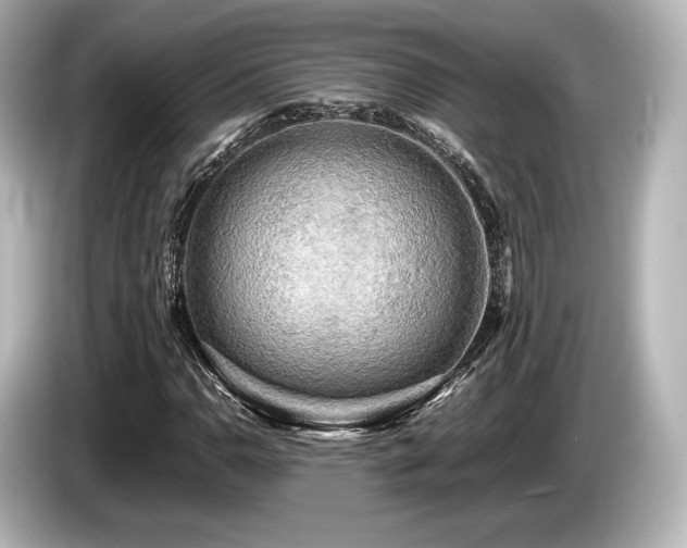 X0000085731110200703160959