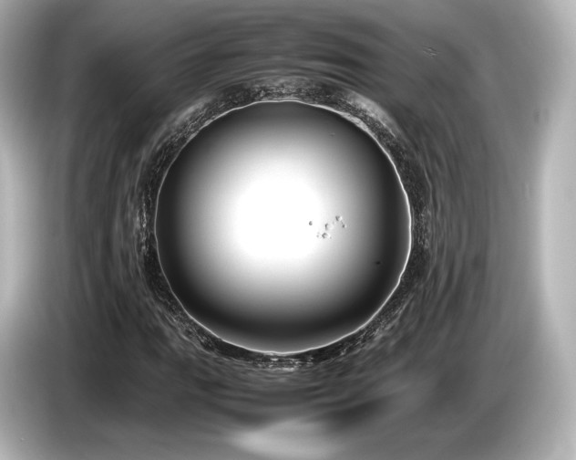 X0000085731111200703160959