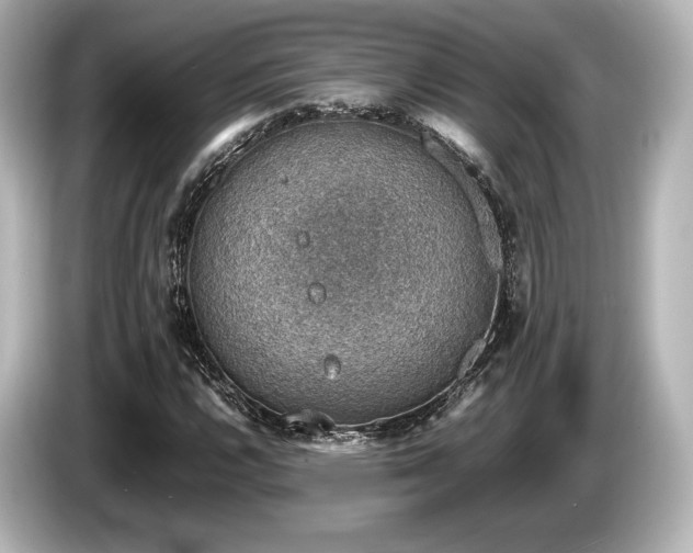 X0000085731112200703160959