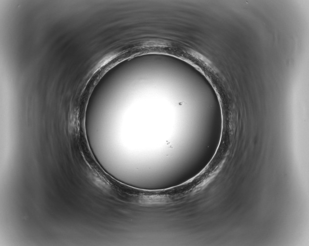 X0000085731113200703160959