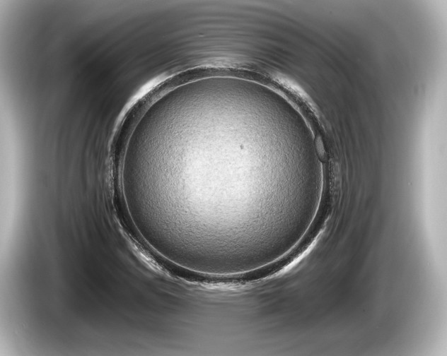 X0000085731114200703160959