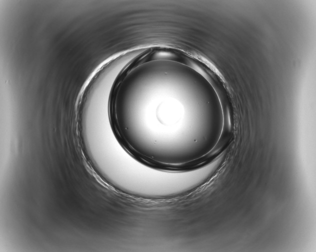 X0000085731116200703160959