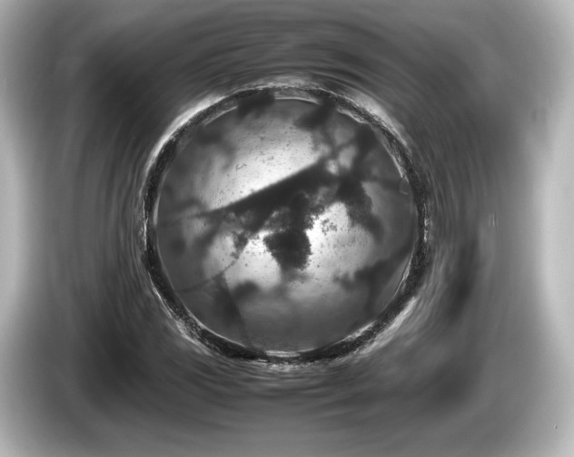 X0000085731117200703160959