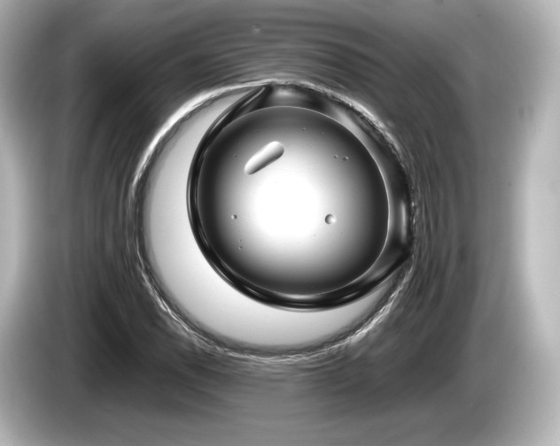 X0000085731118200703160959