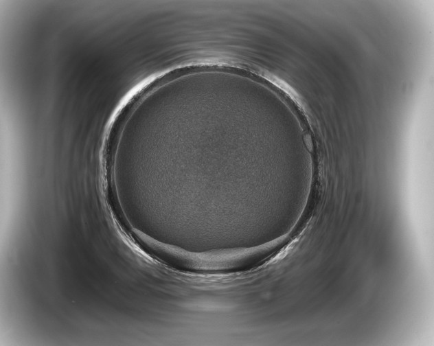 X0000085731120200703160959