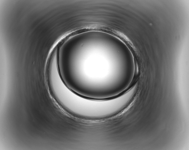 X0000085731122200703160959