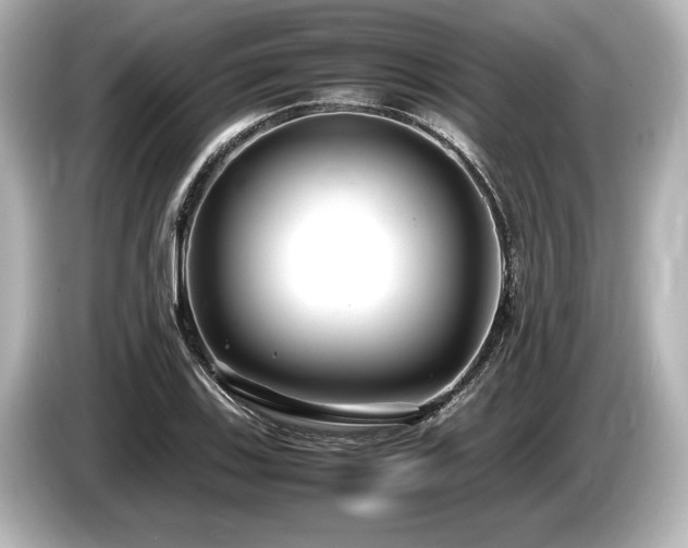 X0000085731123200703160959