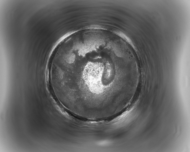 X0000085731125200703160959