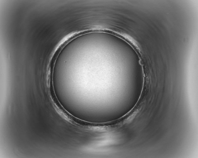 X0000085731126200703160959