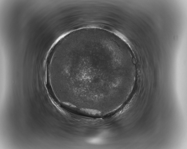 X0000085731127200703160959