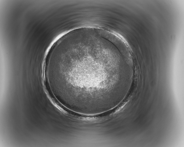 X0000085731128200703160959