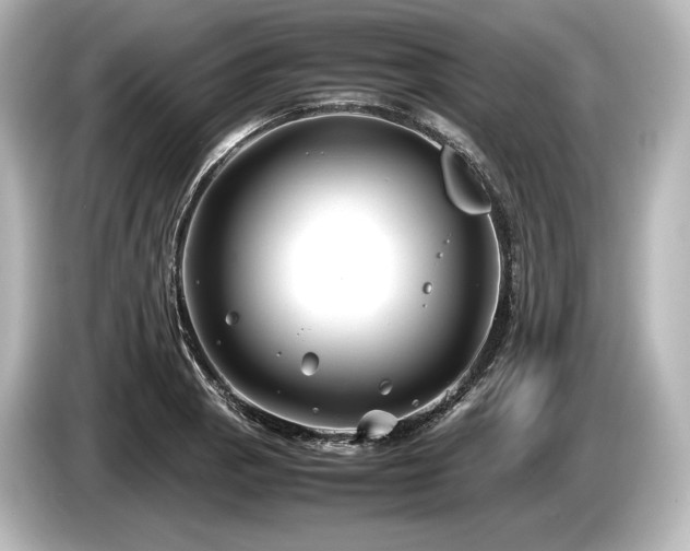 X0000085731129200703160959