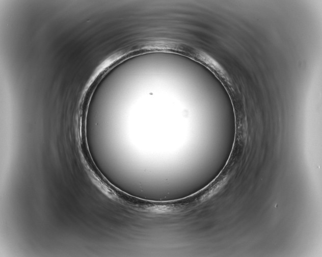 X0000085731130200703160959