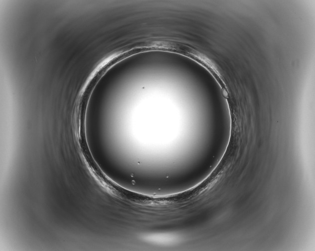 X0000085731131200703160959