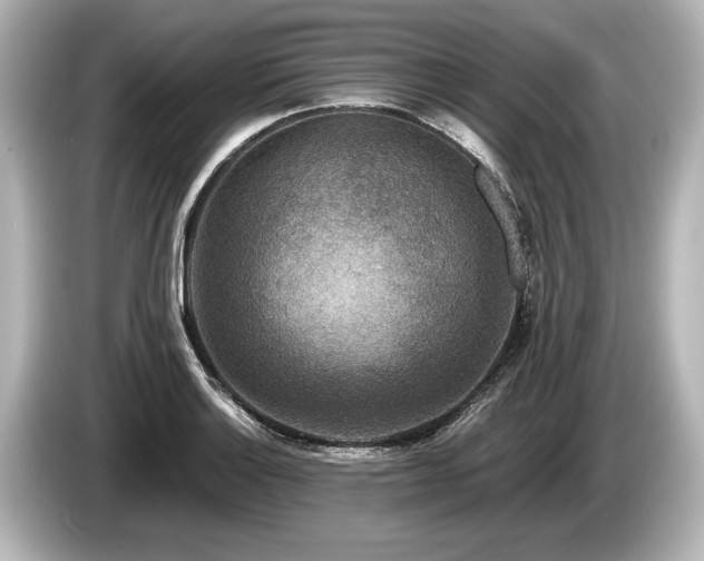 X0000085731132200703160959