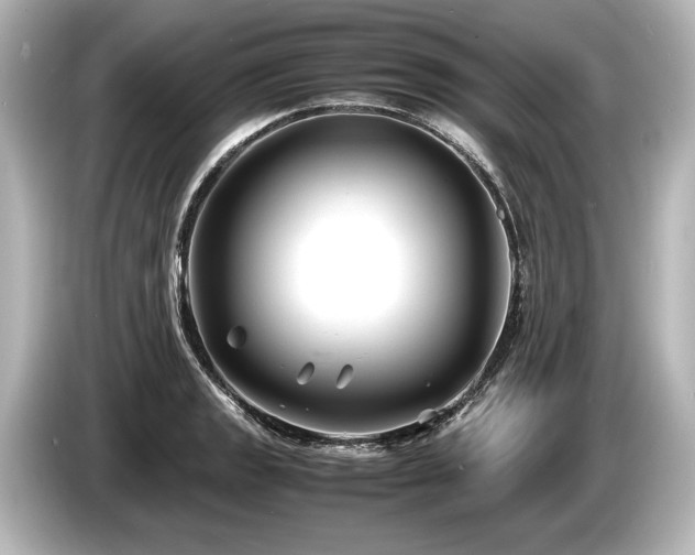 X0000085731133200703160959