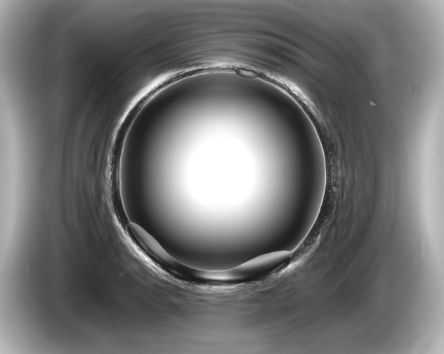 X0000085731134200703160959