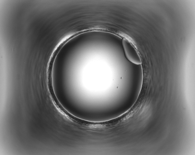 X0000085731135200703160959