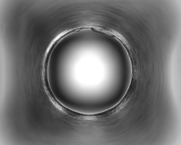 X0000085731136200703160959