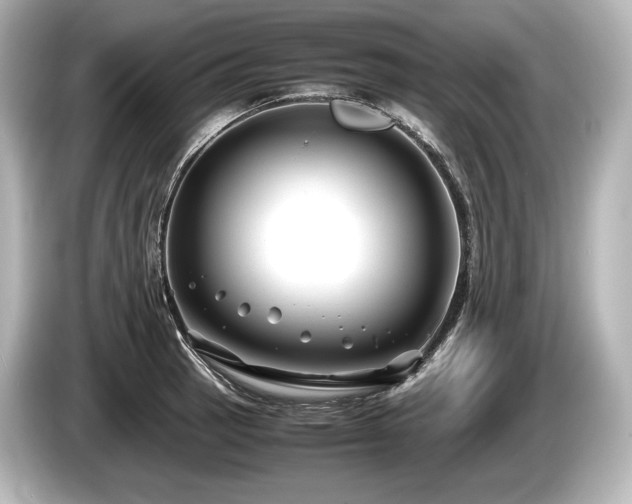 X0000085731137200703160959