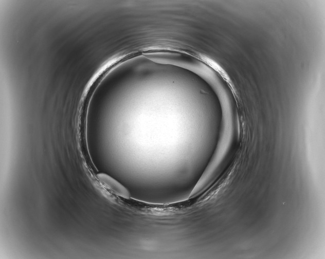 X0000085731138200703160959