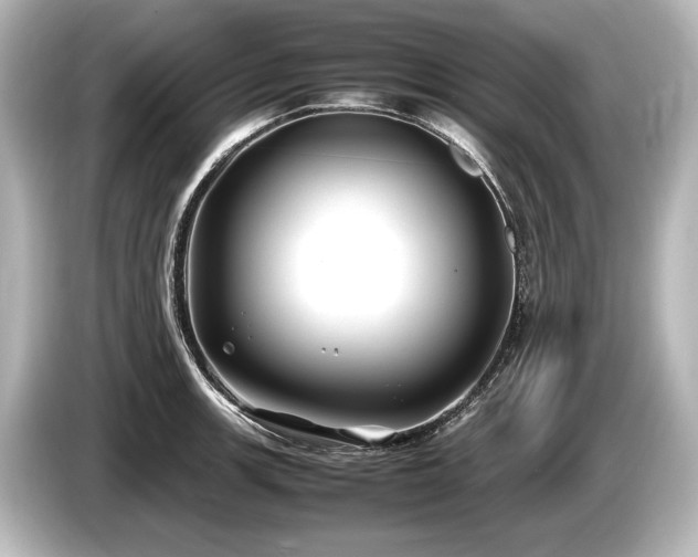 X0000085731139200703160959