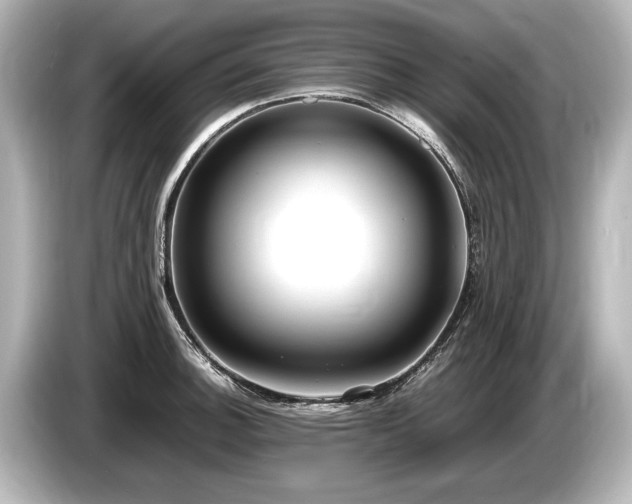 X0000085731140200703160959