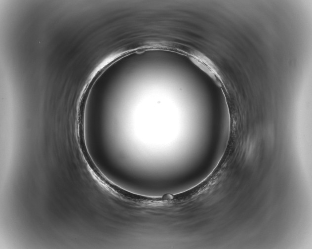 X0000085731143200703160959